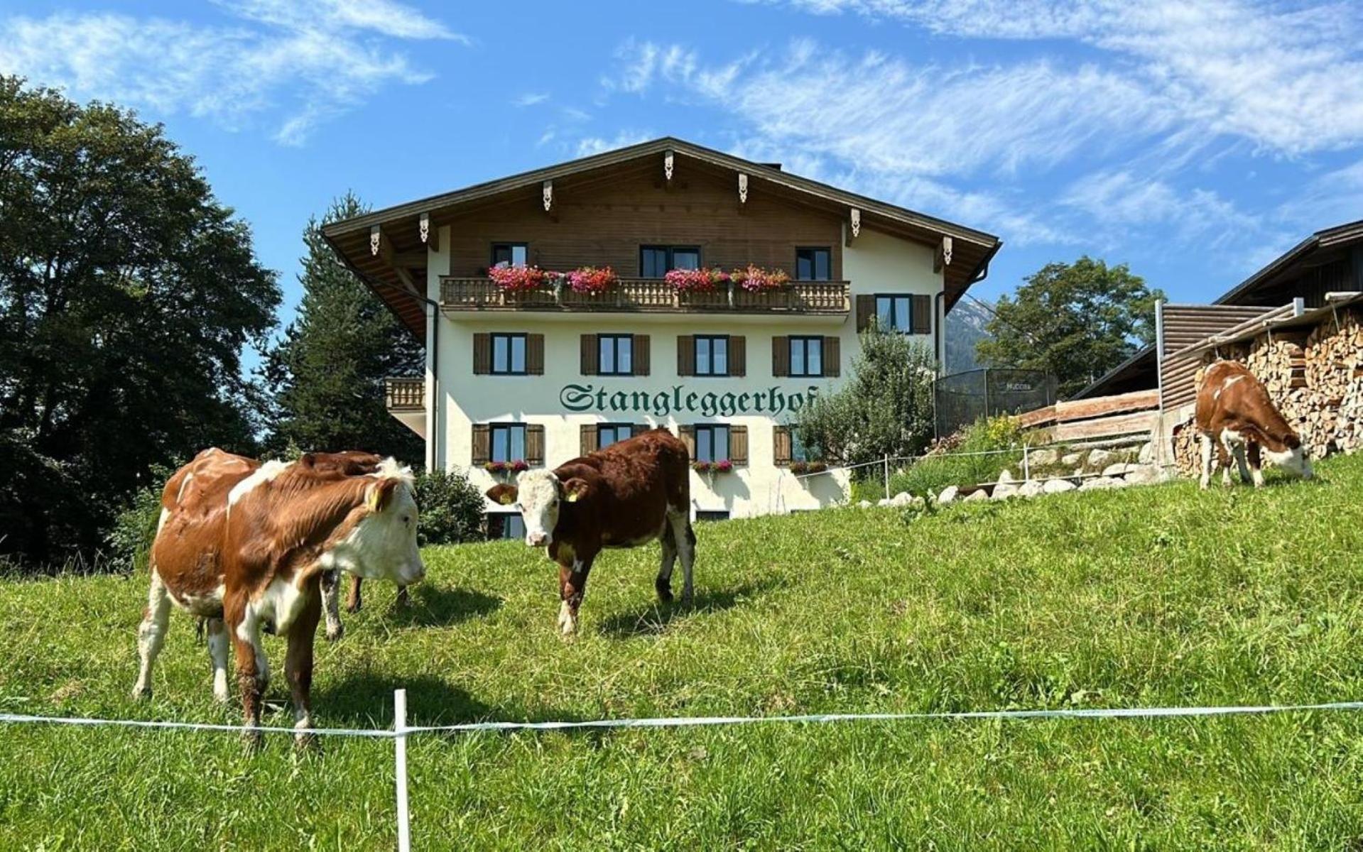 Stangleggerhof Villa Wiesing Luaran gambar