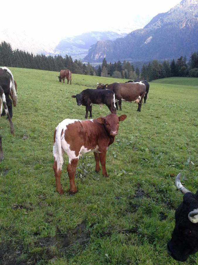 Stangleggerhof Villa Wiesing Luaran gambar